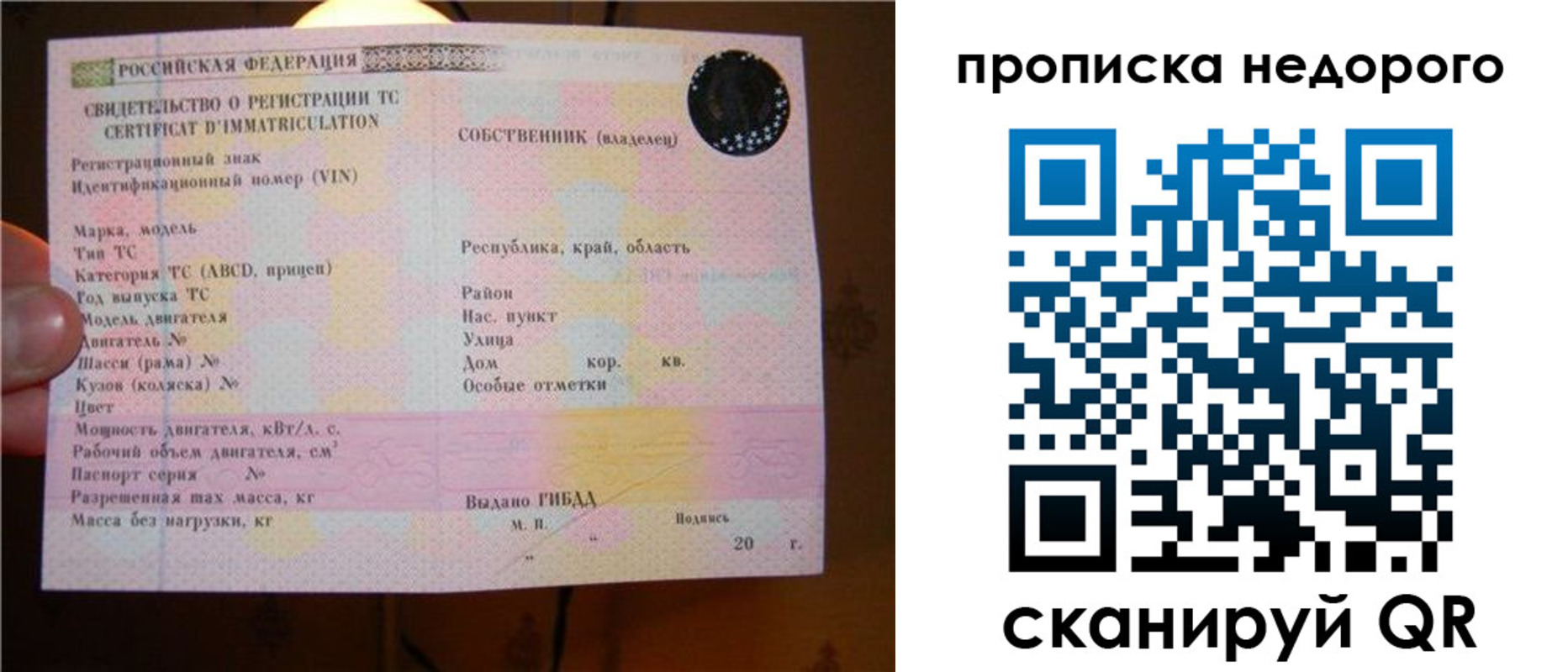 миграционный учет в Лузе