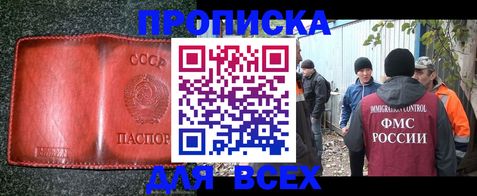 временная регистрация поиск в Лузе